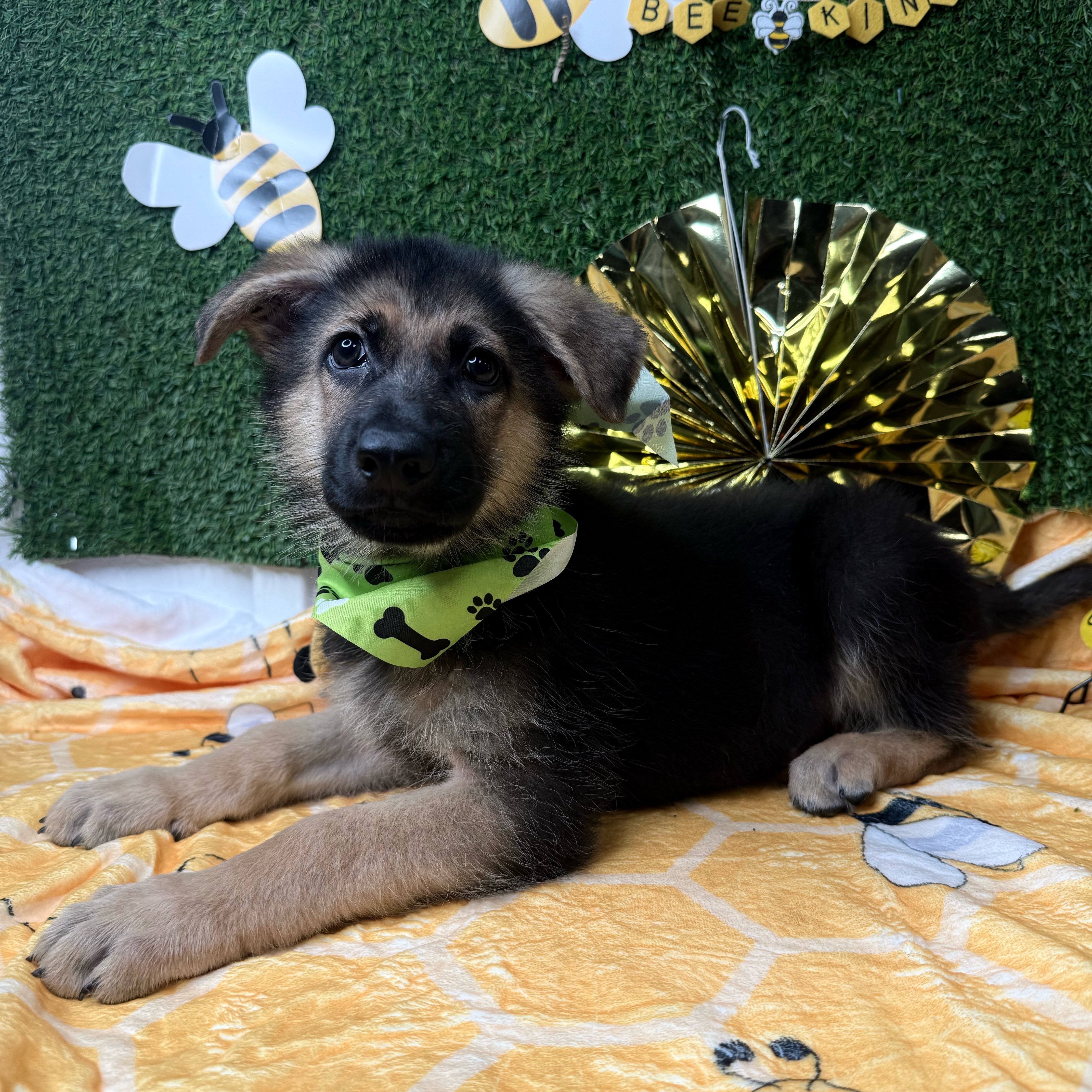 Max